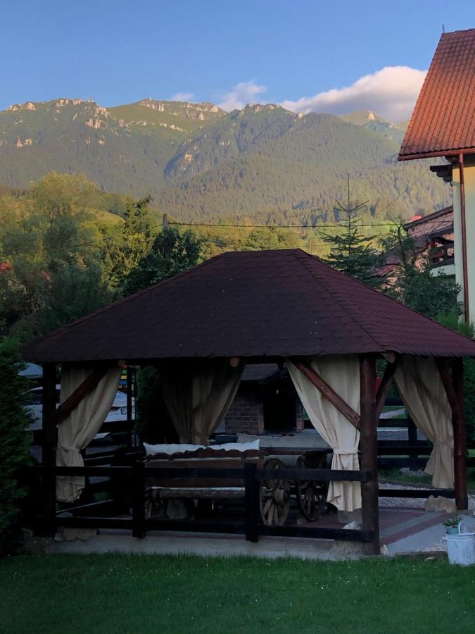Pensiunea Esenzza Bran (Brasov) Exterior foto