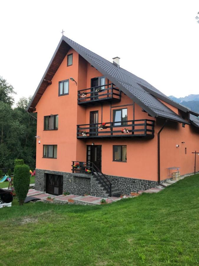 Pensiunea Esenzza Bran (Brasov) Exterior foto