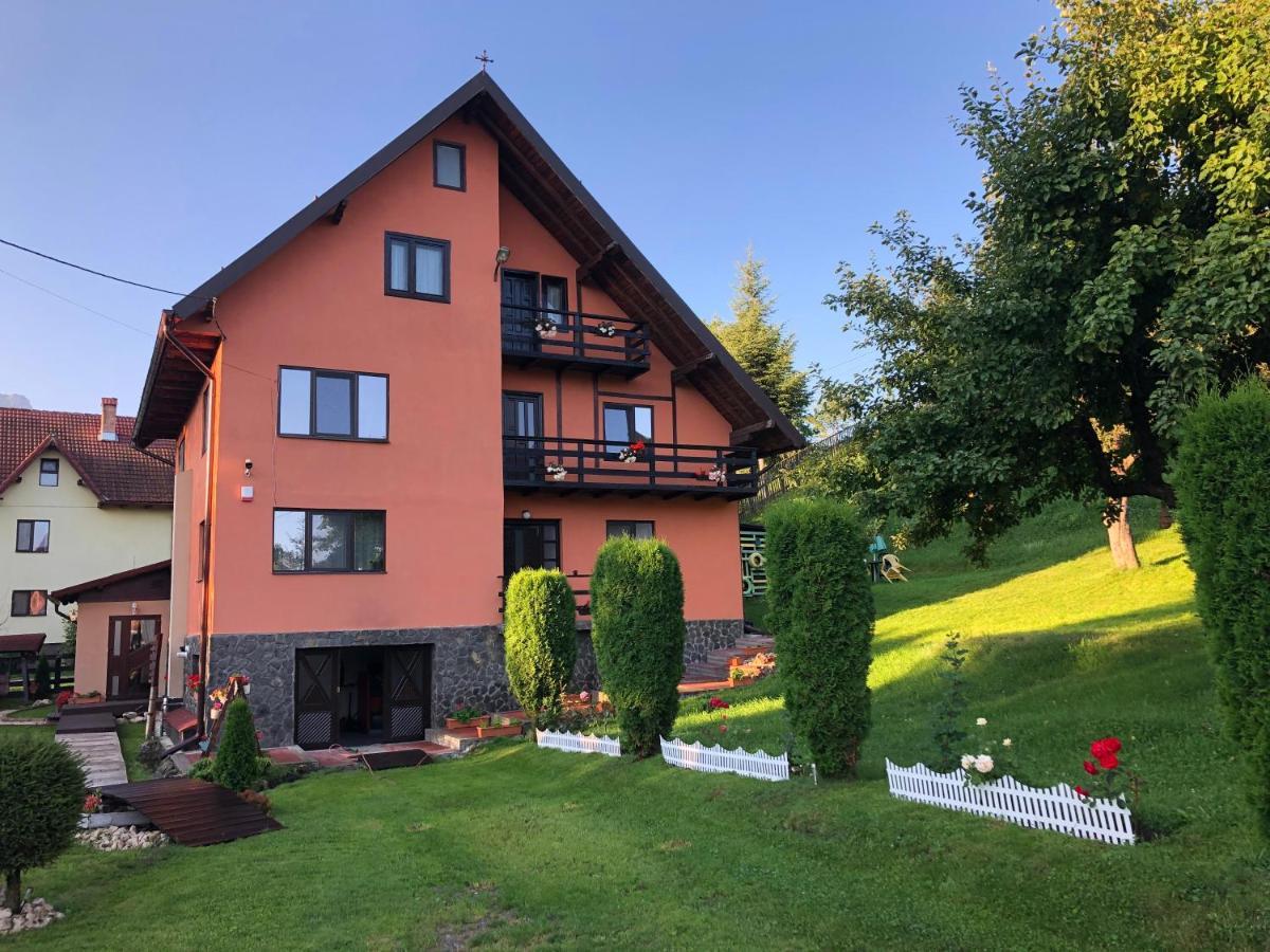 Pensiunea Esenzza Bran (Brasov) Exterior foto