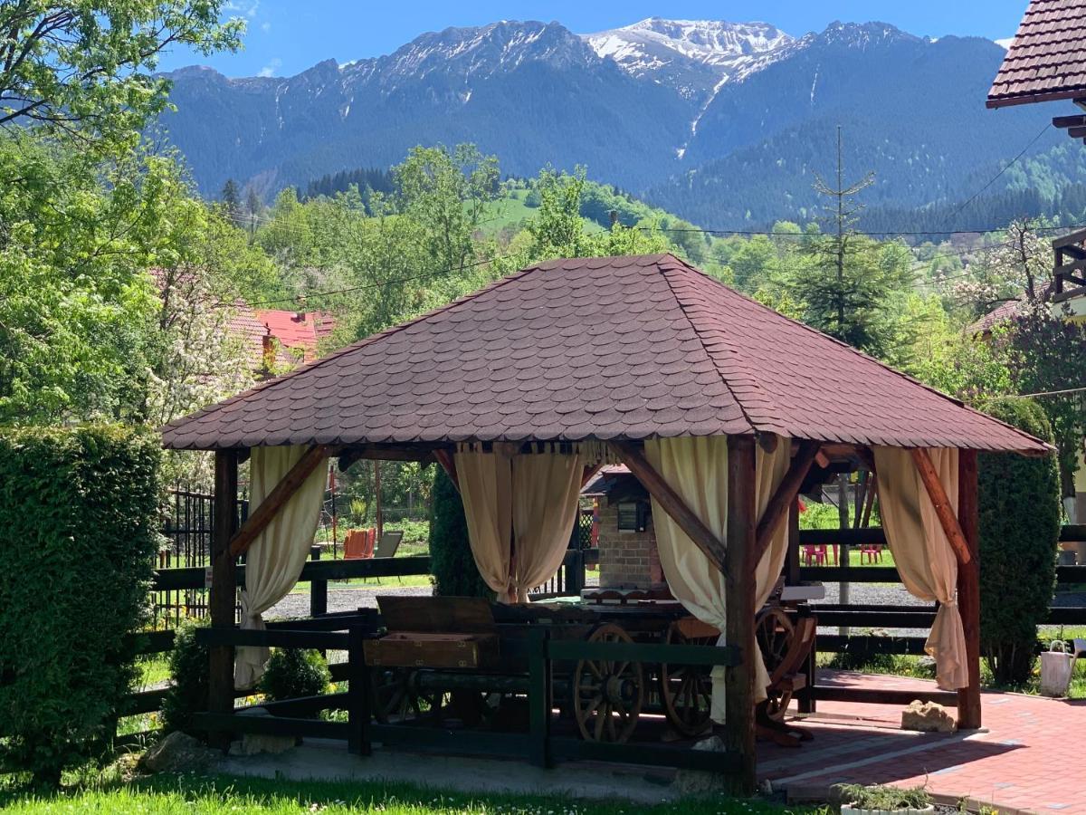 Pensiunea Esenzza Bran (Brasov) Exterior foto